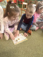 /album/foto-na-navsteve-v-kniznici1/kniznica-5-jpg1/